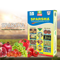 Multiplex Sparsha (Pseudomonas Fluorescens) - Powder
