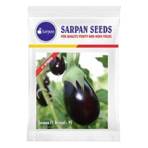 Sarpan Hybrid F1 Brinjal-95 Seeds - 20 GM