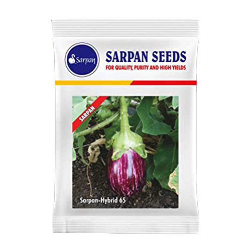 Sarpan Brinjal-65 Seeds - 10 GM