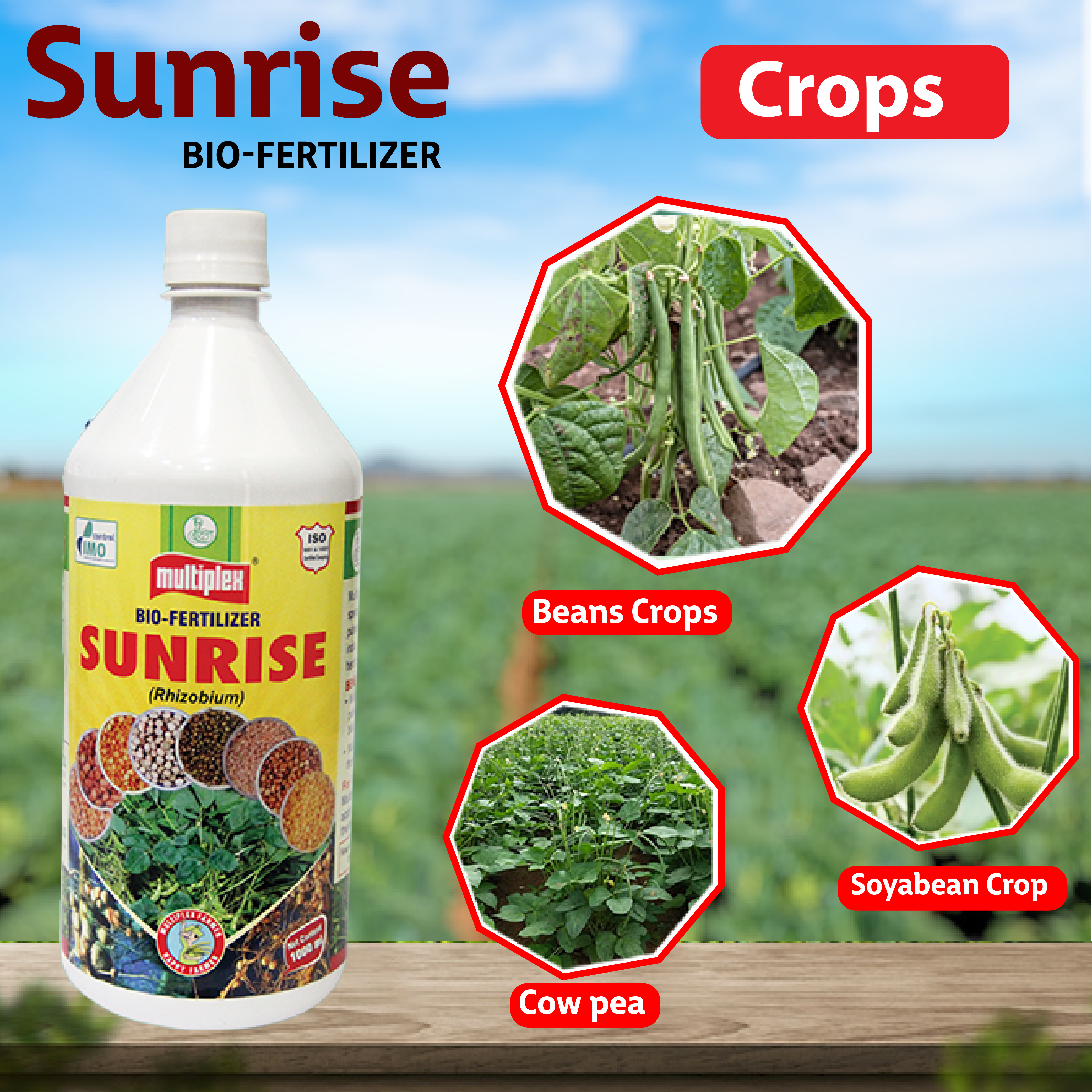 Multiplex Sunrise Bio Fertilizer - Liquid – Agriplex