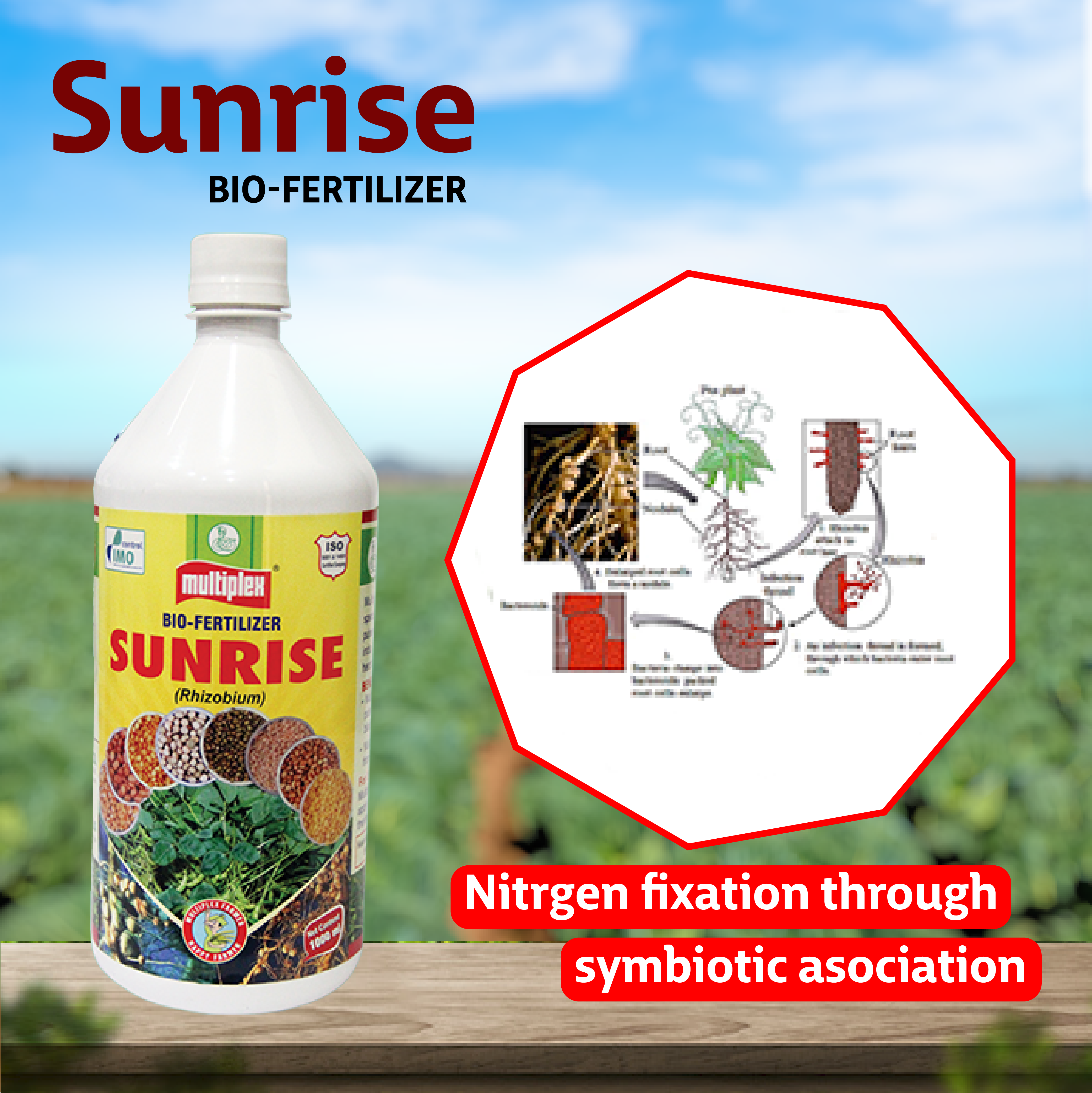 Multiplex Sunrise Bio Fertilizer - Liquid – Agriplex