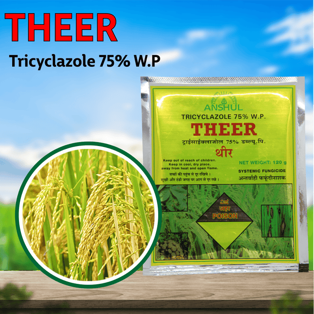 Anshul Theer Fungicide Powder - 120 GM