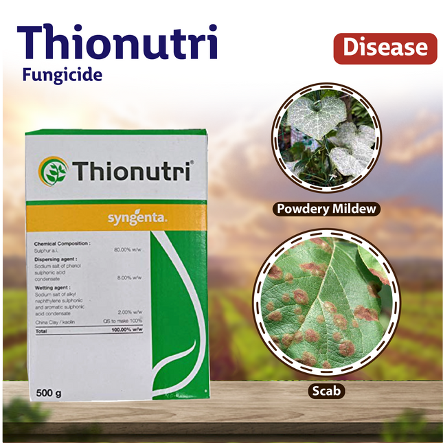 Syngenta Thionutri Fungicide