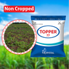 Crystal Topper-77 Herbicide