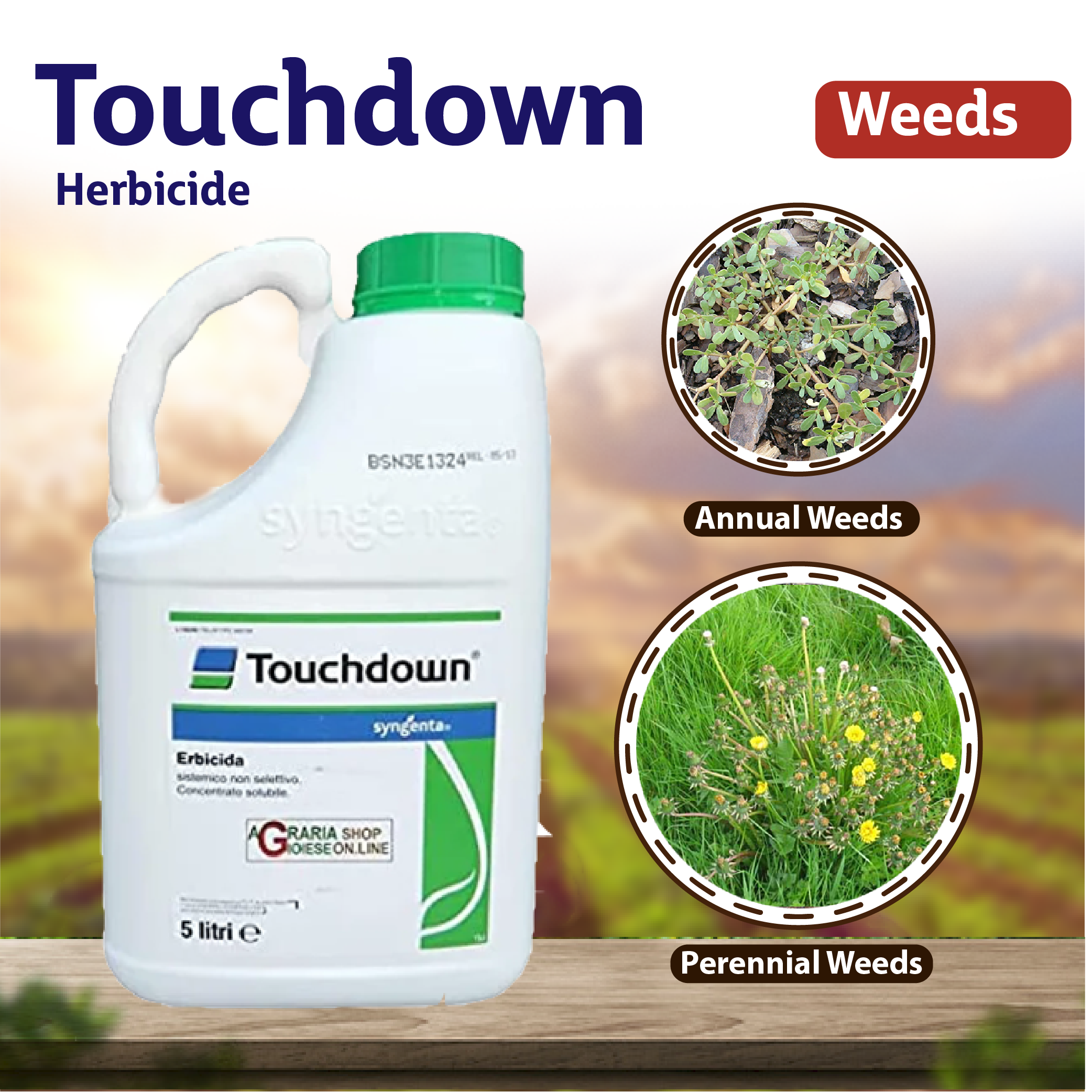 touchdown total herbicide Syngenta Touchdown Herbicide