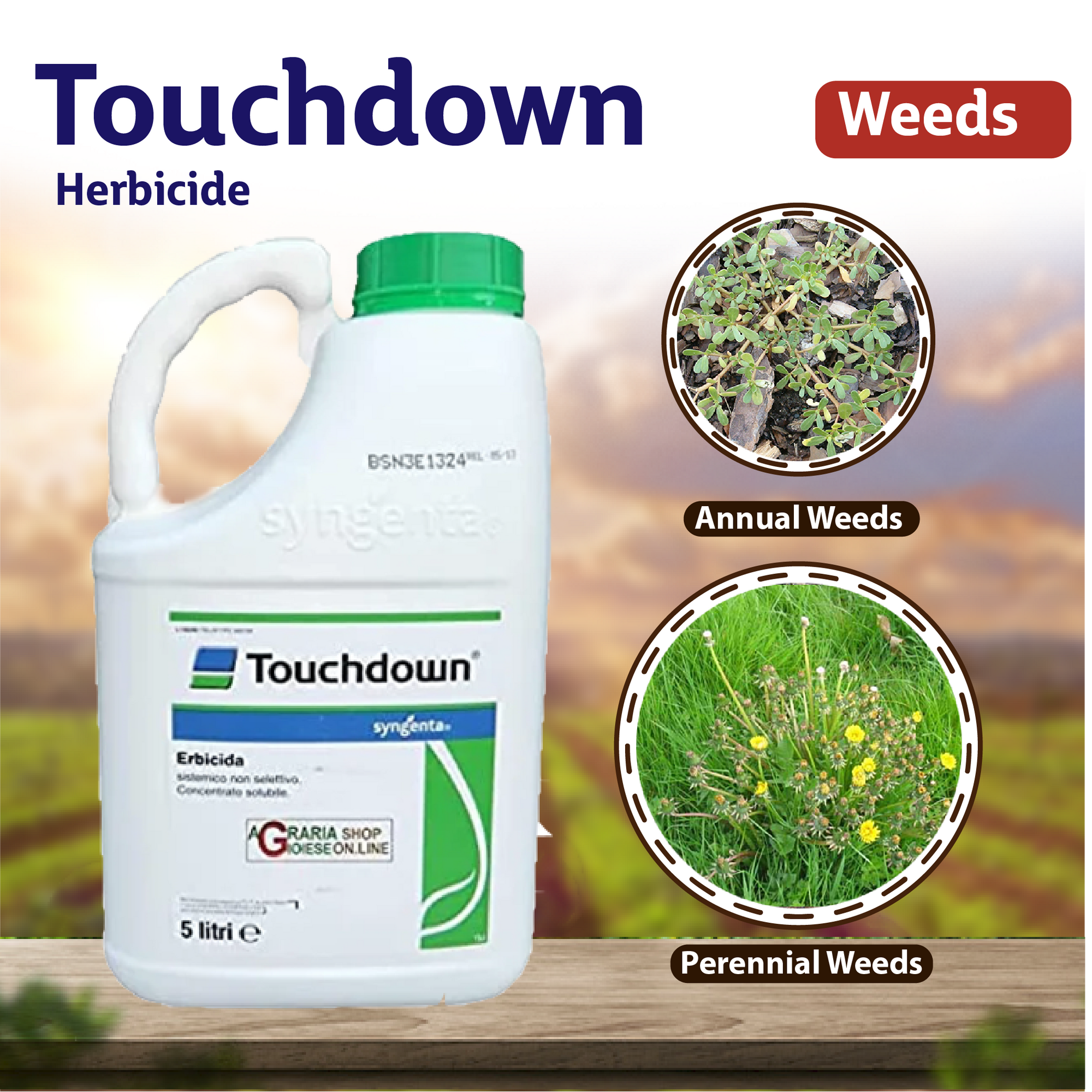 Syngenta Touchdown Herbicide - 1 LT