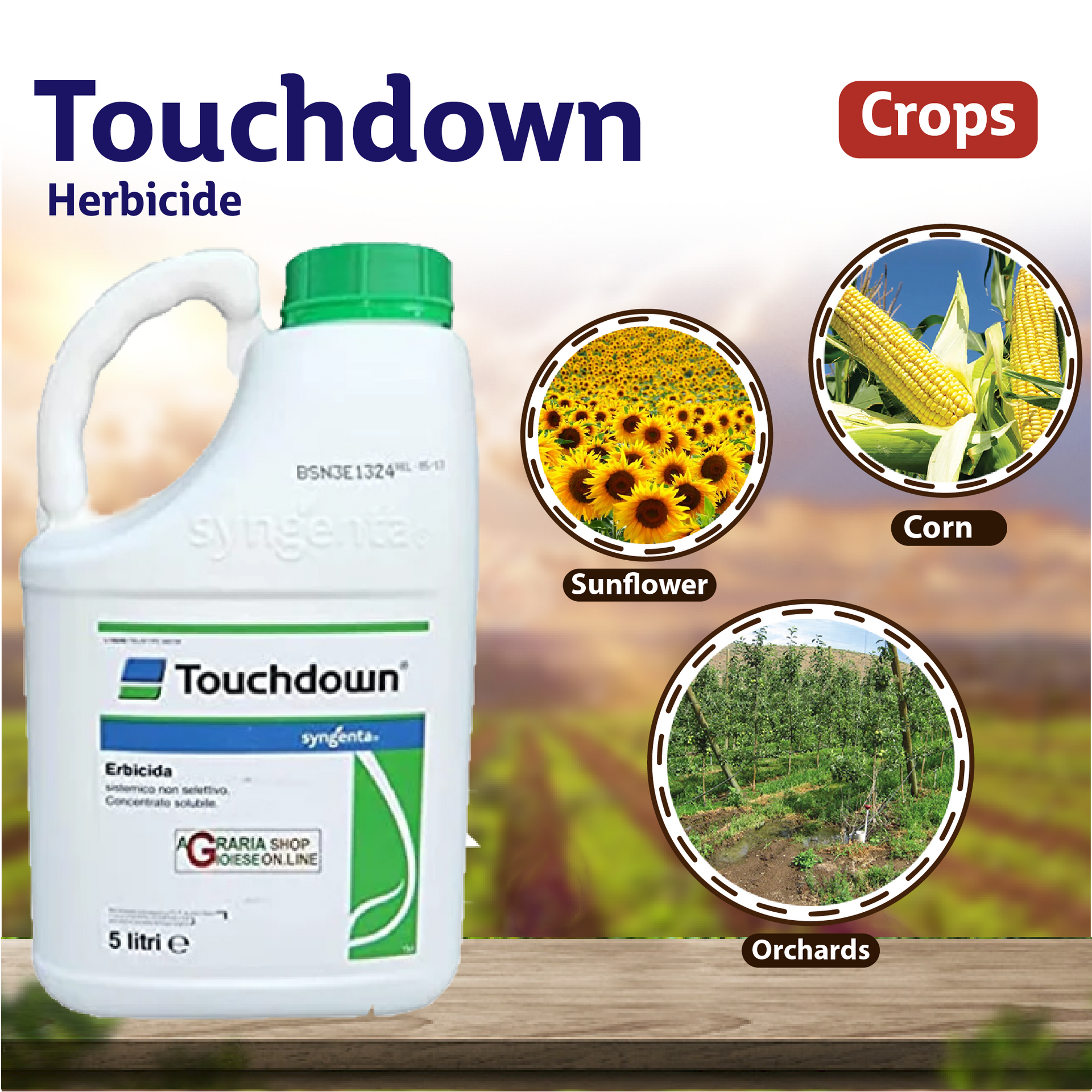 touchdown herbicide active ingredient Syngenta Touchdown Herbicide