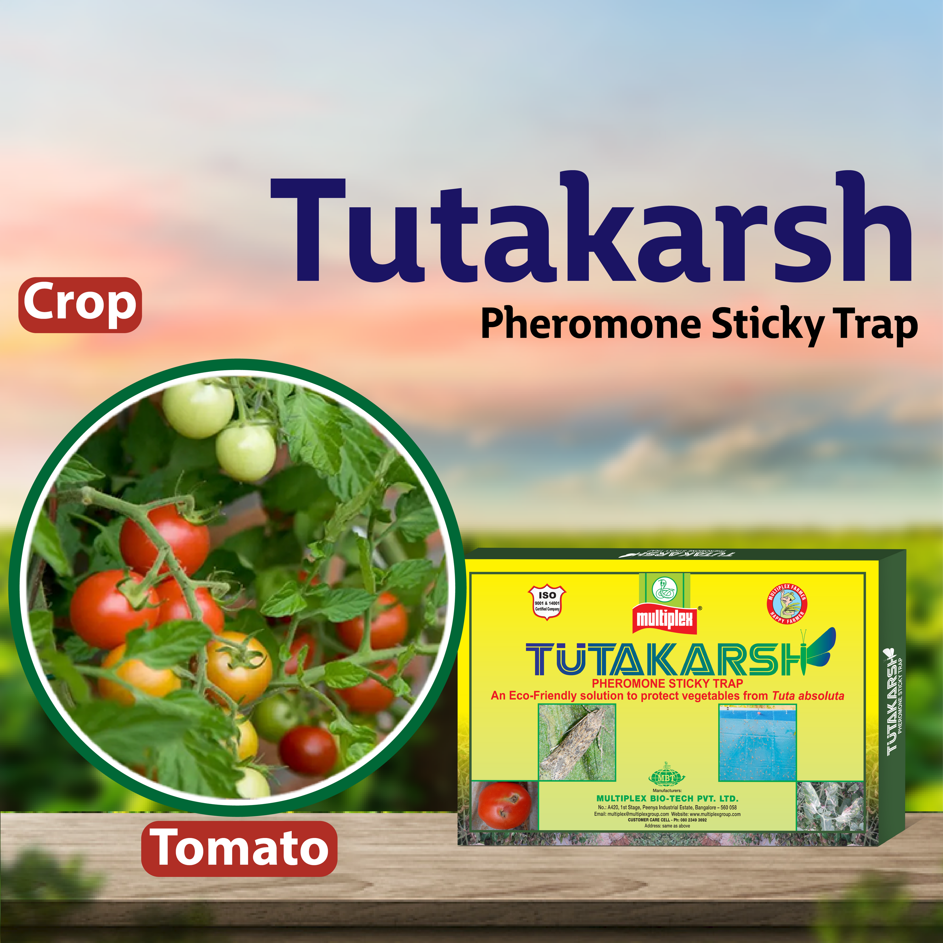 Multiplex Tutakarsh Pheromone Trap for Tuta Absoluta - 8 NOS TRAPS Multiplex Tutakarsh Pheromone Trap for Tuta Absoluta - 8 NOS TRAPS
