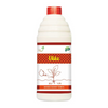 Samruddi Ukko Termite Control