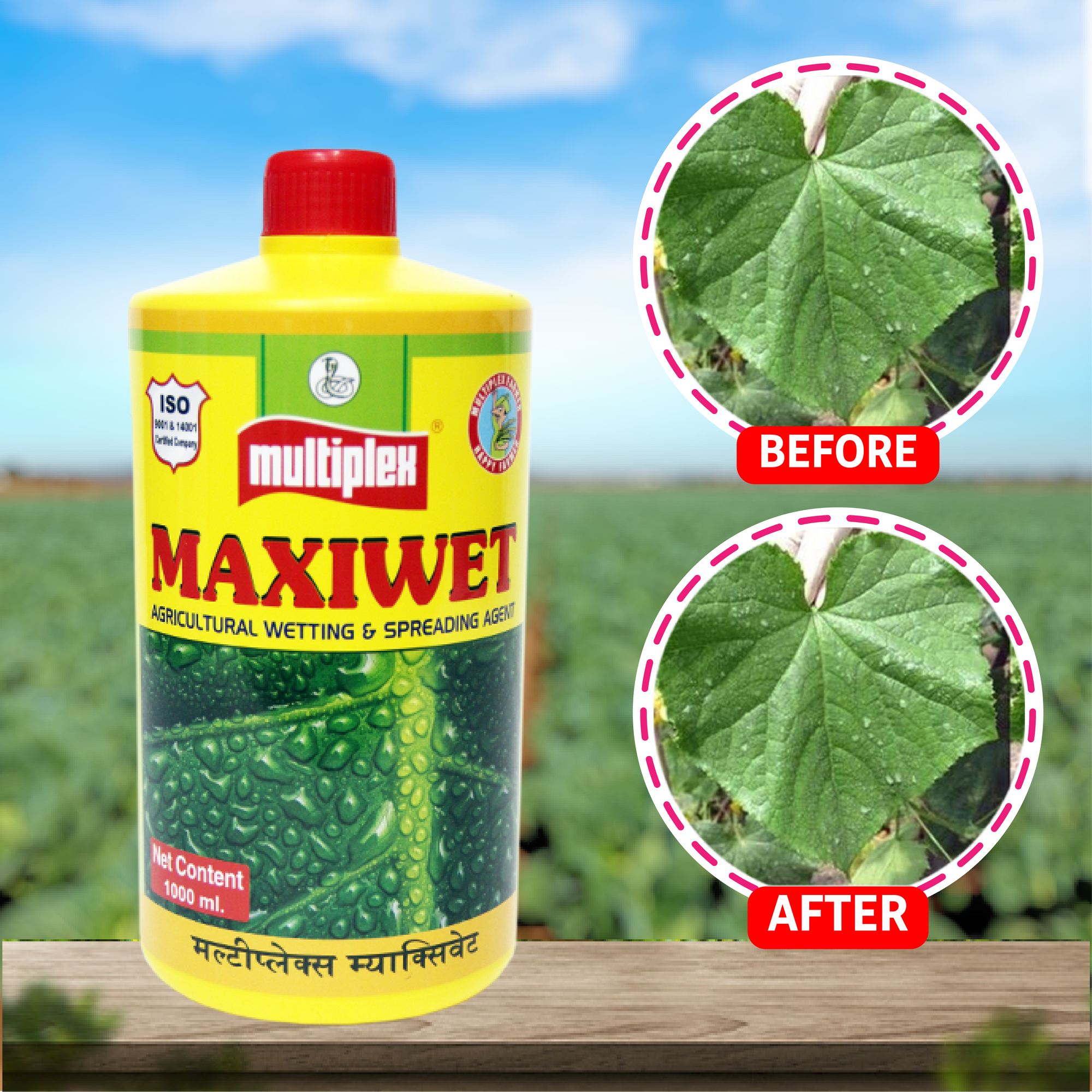 Multiplex Maxiwet (Wetting Agent)