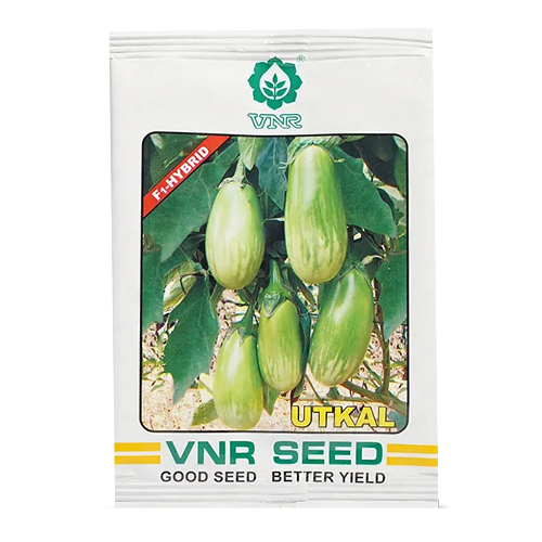 VNR Utkal Brinjal - 10 GM