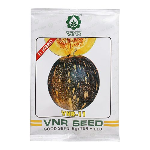 VNR 11 Pumpkin - 50 GM