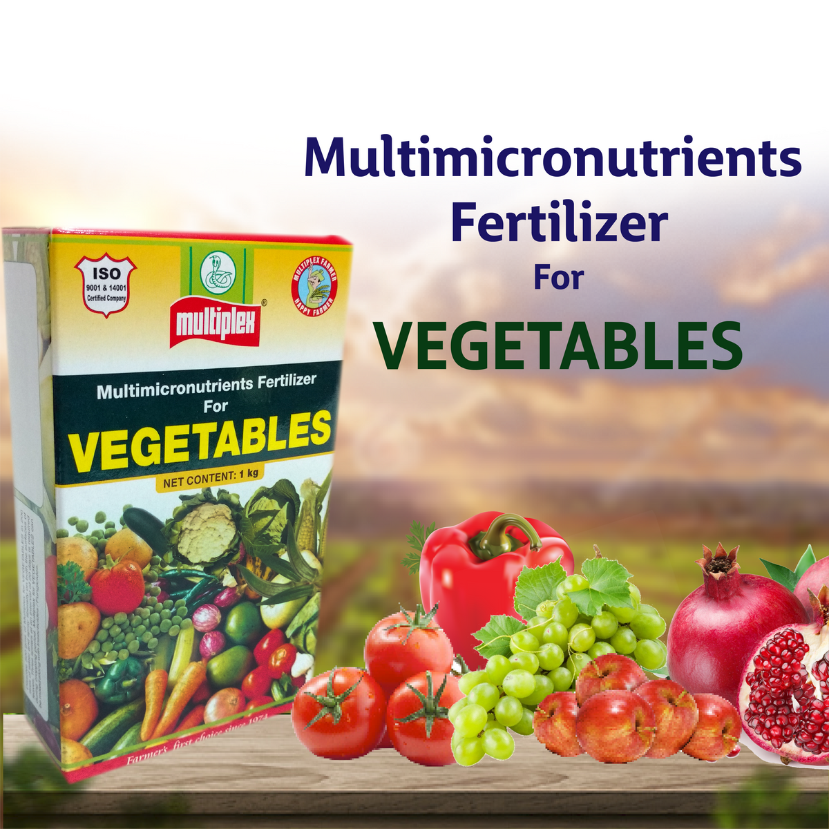 Multiplex Vegetables (Micronutrient Mixture) 500 GM – Agriplex