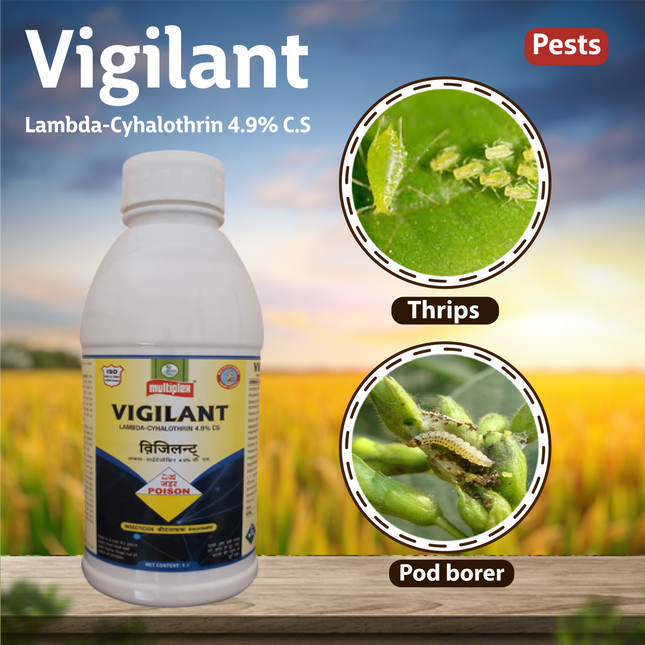 Multiplex Vigilant Insecticide