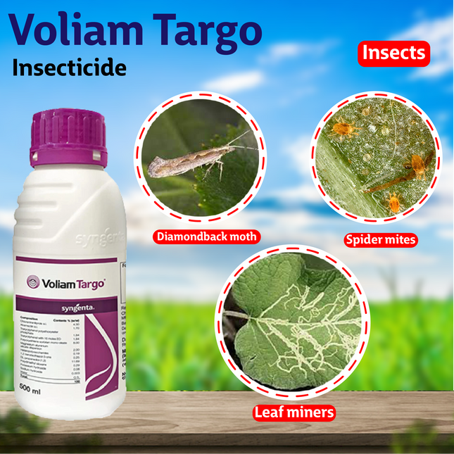 Syngenta Voliam Targo Insecticide
