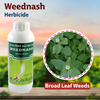 Godrej Weenash Herbicide - 500 GM Weeds