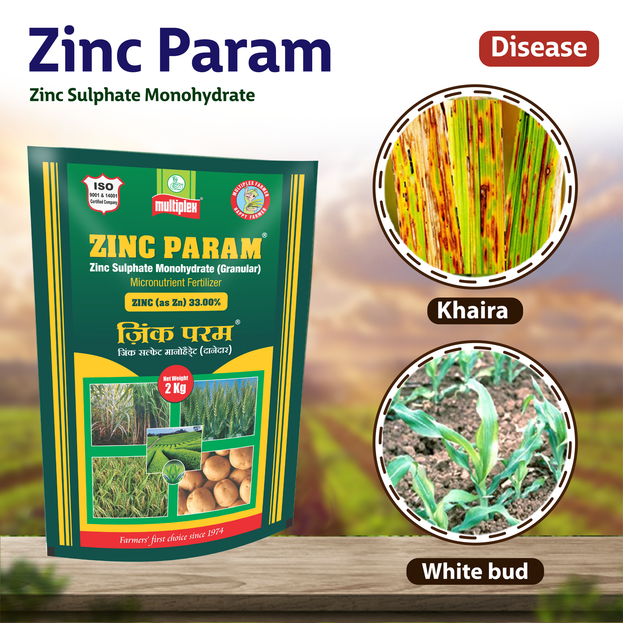 Multiplex Zinc Param (Zinc Sulphate Monohydrate)