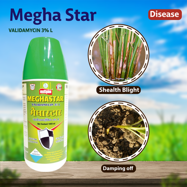 Multiplex Megha Star Bactericide