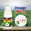 Multiplex B T Enzyme Growth Stimulant Dosage