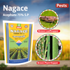 Multiplex Nagace Insecticide