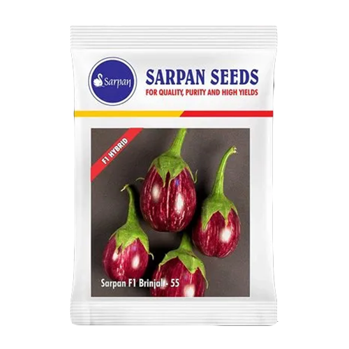 Sarpan F1 Brinjal-55 Seeds - 20 GM