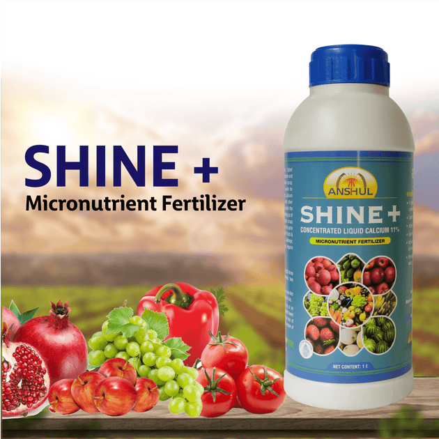 Anshul Shine+ Secondary Nutrient & Multi Micronutrients – Agriplex