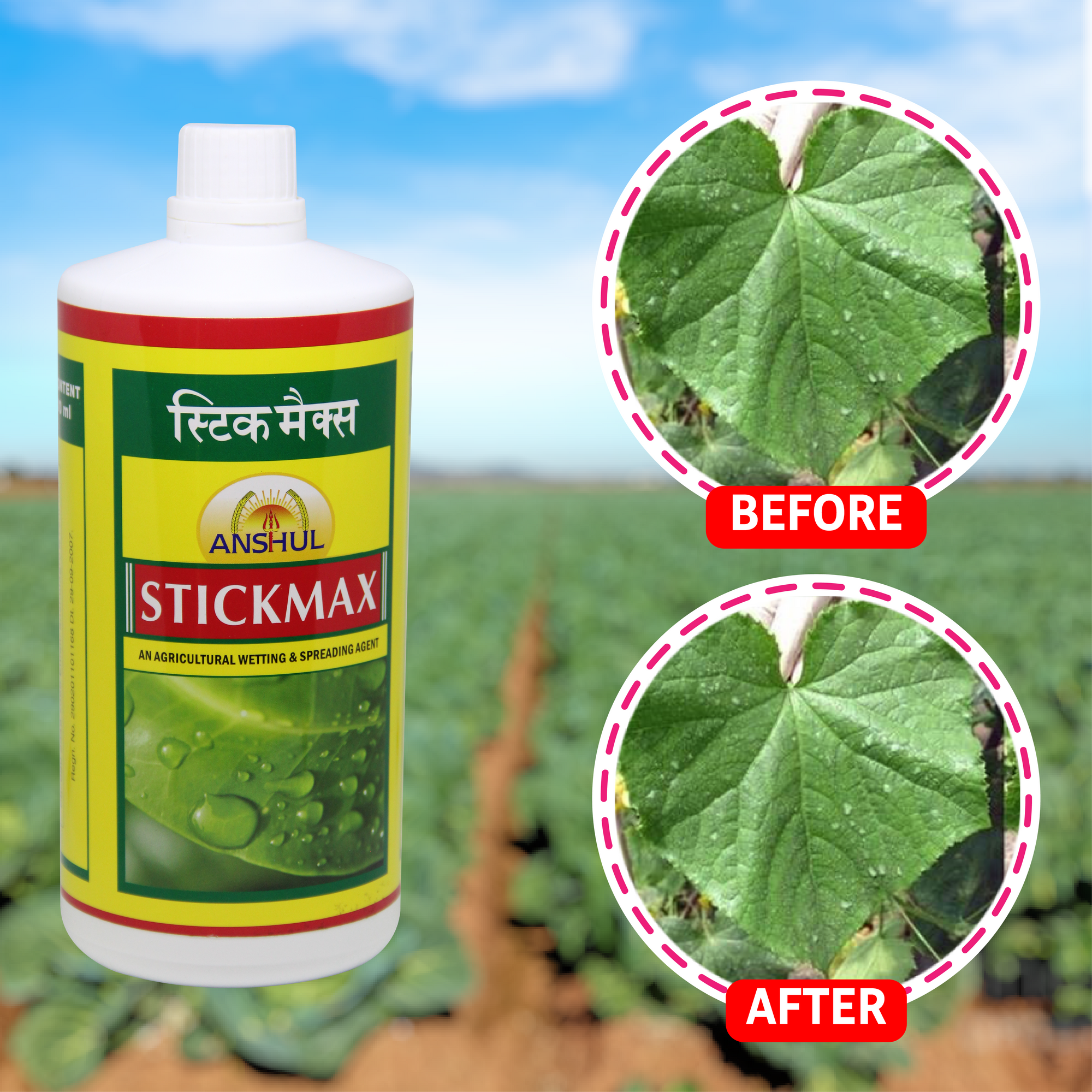 Anshul Stick Max Wetting Agent