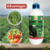 Multiplex Sampurna (Multi Micronutrients) Advantages
