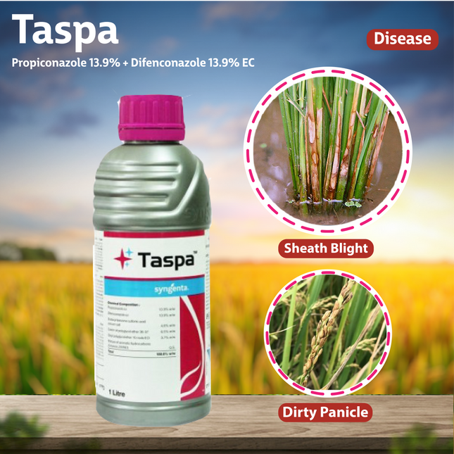 Syngenta Taspa Fungicide